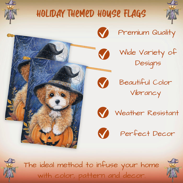 Poodle Dog Halloween House Flag Witch Hat Pumpkin Fall Outdoor Porch Decoration with Spider Web Design Double Sided 28 x 40 Inch