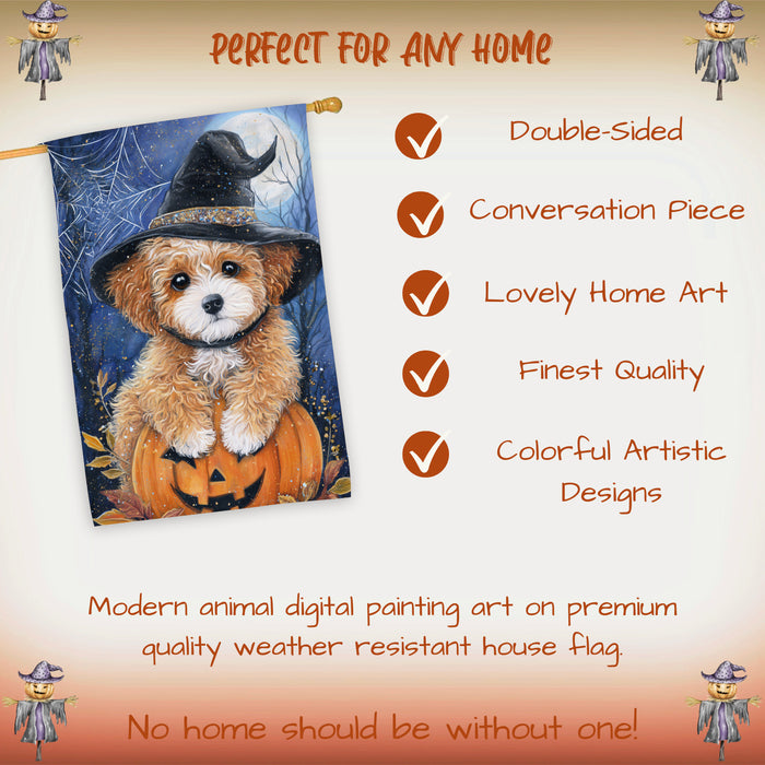 Poodle Dog Halloween House Flag Witch Hat Pumpkin Fall Outdoor Porch Decoration with Spider Web Design Double Sided 28 x 40 Inch