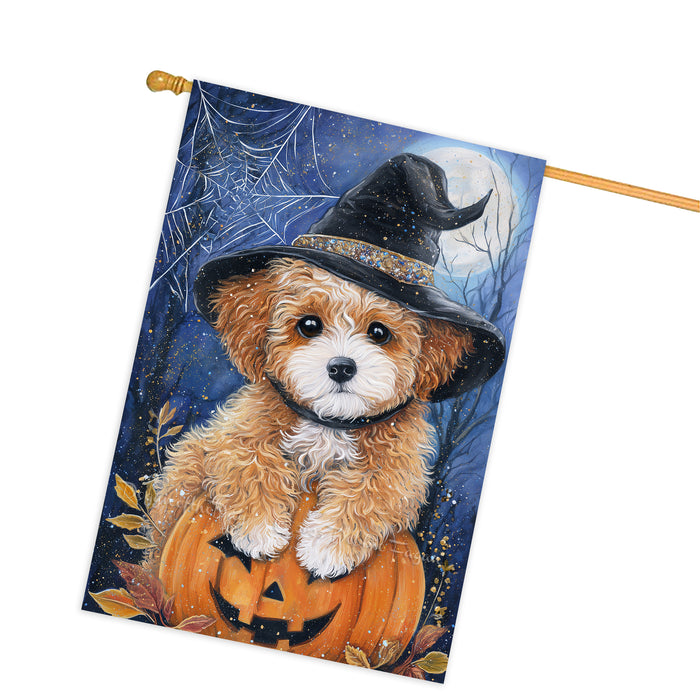 Poodle Dog Halloween House Flag Witch Hat Pumpkin Fall Outdoor Porch Decoration with Spider Web Design Double Sided 28 x 40 Inch