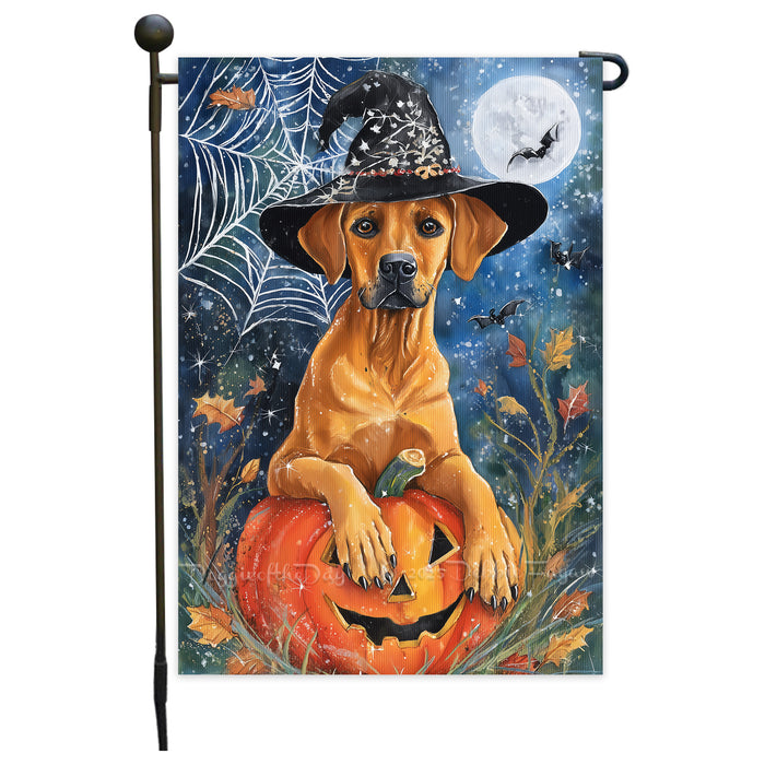 Rhodesian Ridgeback Halloween Garden Flag Witch Hat Pumpkin Yard Banner Fall Dog Outdoor Decor 12.5 x 18 Inch