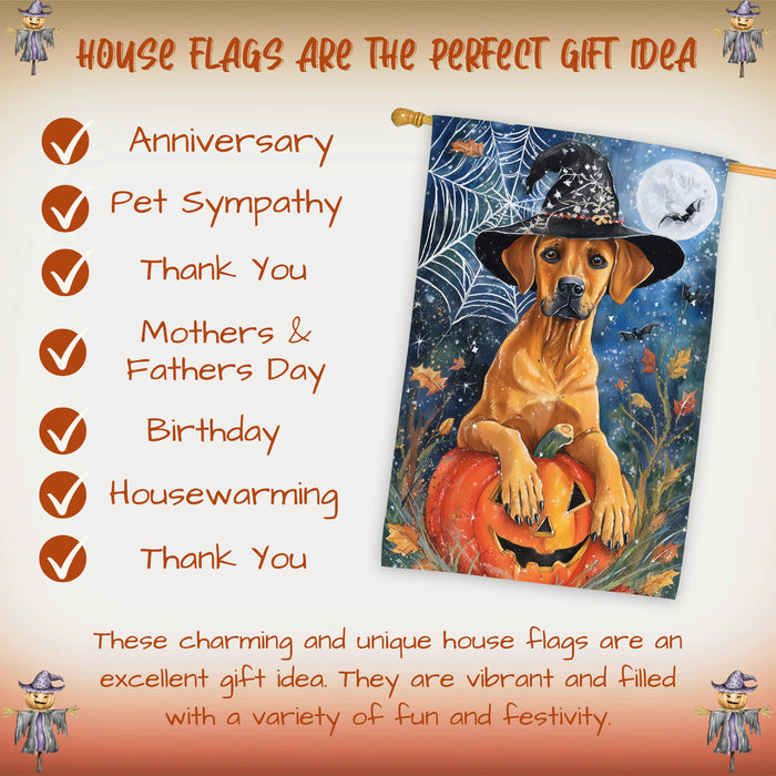 Rhodesian Ridgeback Halloween House Flag Witch Hat Pumpkin Large Outdoor Banner Fall Porch Yard Decoration 28 x 40 Inch