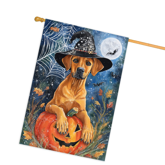 Rhodesian Ridgeback Halloween House Flag Witch Hat Pumpkin Large Outdoor Banner Fall Porch Yard Decoration 28 x 40 Inch