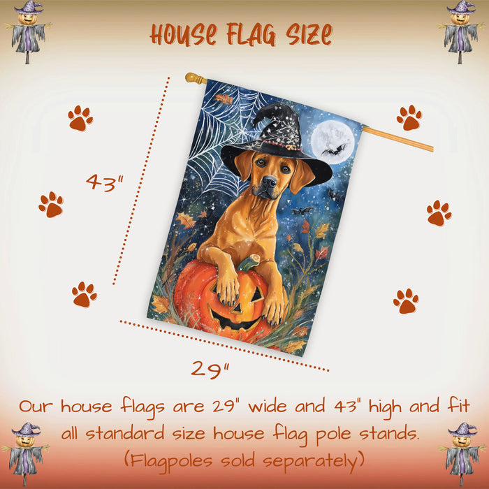 Rhodesian Ridgeback Halloween House Flag Witch Hat Pumpkin Large Outdoor Banner Fall Porch Yard Decoration 28 x 40 Inch