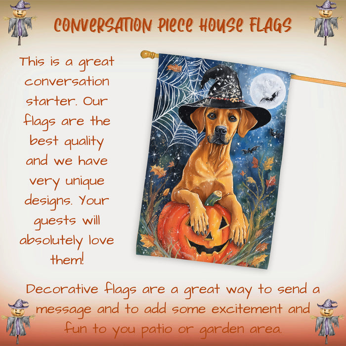 Rhodesian Ridgeback Halloween House Flag Witch Hat Pumpkin Large Outdoor Banner Fall Porch Yard Decoration 28 x 40 Inch
