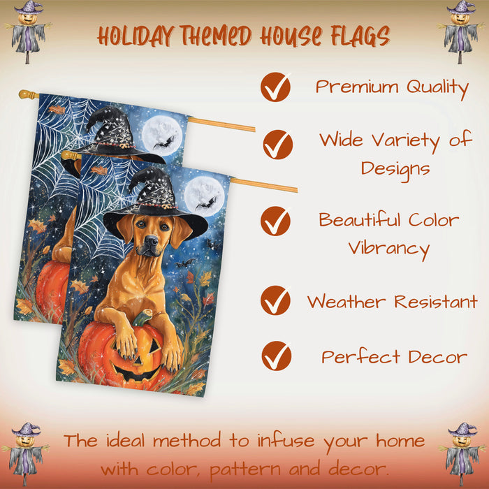 Rhodesian Ridgeback Halloween House Flag Witch Hat Pumpkin Large Outdoor Banner Fall Porch Yard Decoration 28 x 40 Inch