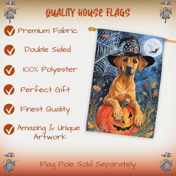 Rhodesian Ridgeback Halloween House Flag Witch Hat Pumpkin Large Outdoor Banner Fall Porch Yard Decoration 28 x 40 Inch