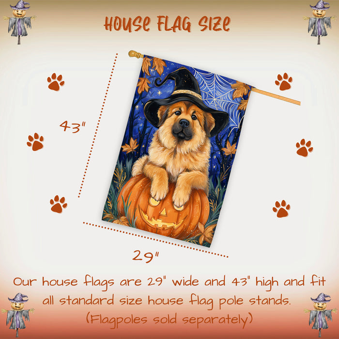 Tibetan Mastiff Halloween House Flag Pumpkin Witch Hat Dog Large Outdoor Banner Fall Porch Yard Decoration 28 x 40 Inch