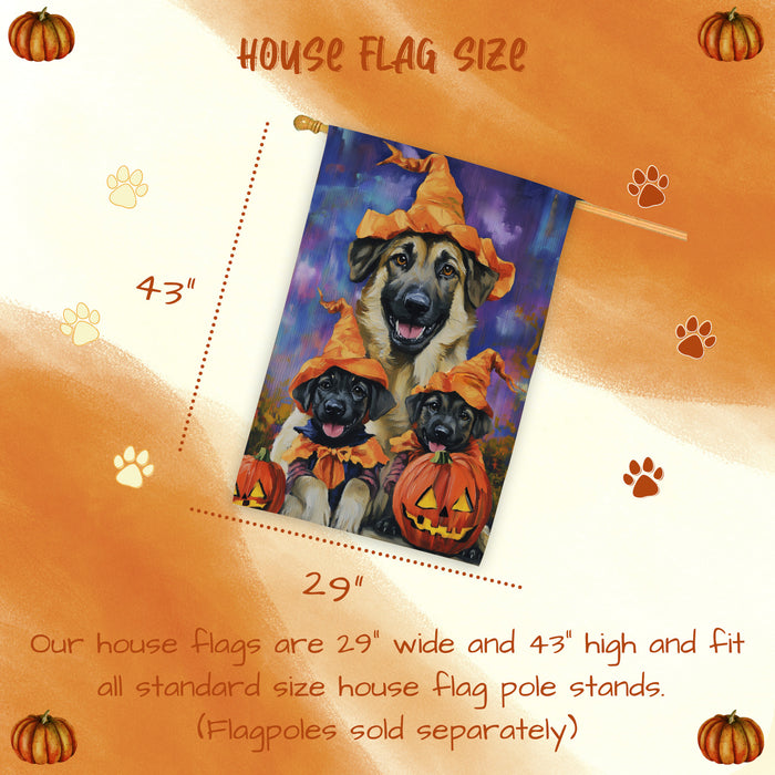 Anatolian Shepherd Dog Witch Hat Halloween House Flag – Autumn Pumpkin Welcome Banner for Outdoor Home Decor, Thanksgiving Fall Yard Flag for Dog Lovers