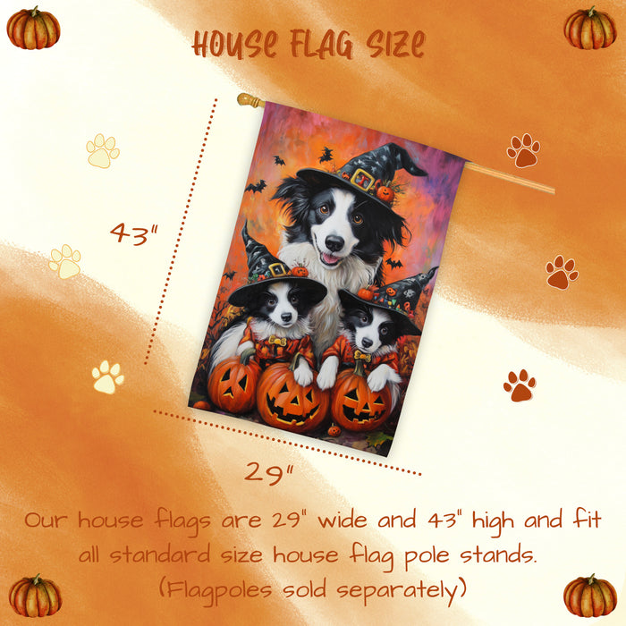 Border Collie Puppies Halloween House Flag Witch Hat Fall Outdoor Decor for Porch Garden and Lawn Dog Lover Gift Autumn Home Decoration