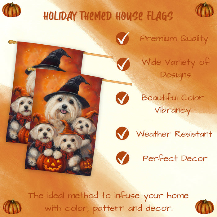 Coton de Tulear Dog Halloween House Flag Witch Hat Pumpkin Fall Outdoor Decor for Porch Garden and Lawn Autumn Rustic Home Decoration