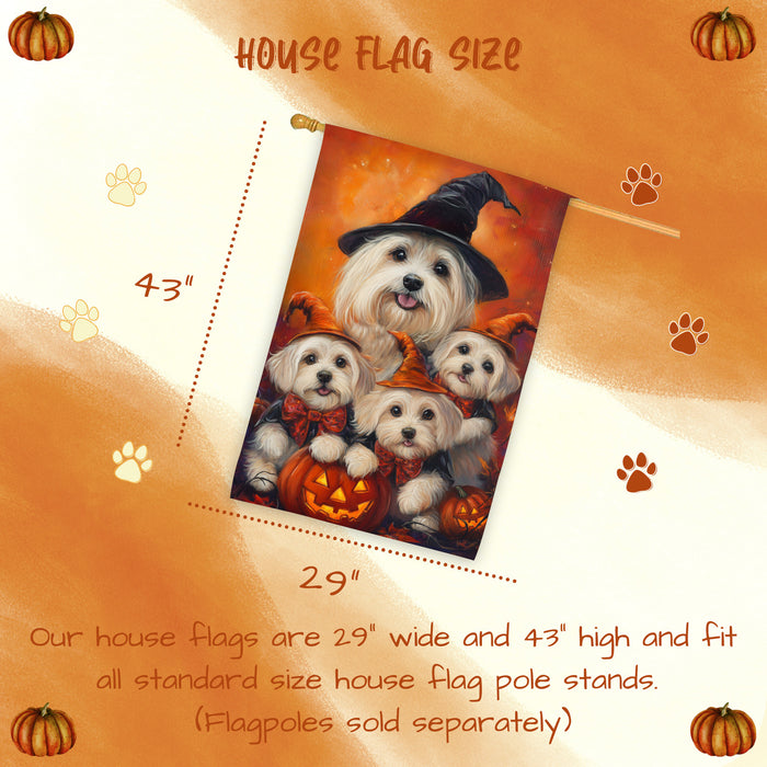 Coton de Tulear Dog Halloween House Flag Witch Hat Pumpkin Fall Outdoor Decor for Porch Garden and Lawn Autumn Rustic Home Decoration