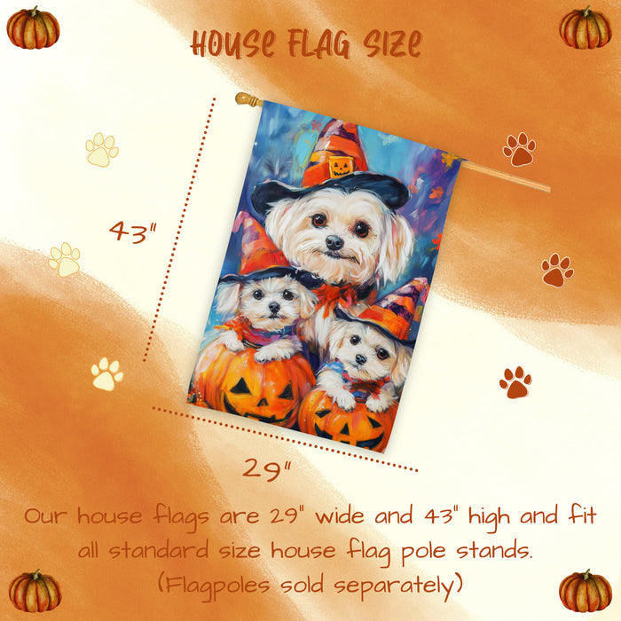 Maltese Dog Halloween House Flag Witch Hat Pumpkin Lantern Fall Outdoor Decor for Porch Garden and Lawn Rustic Autumn Farmhouse Holiday Decoration