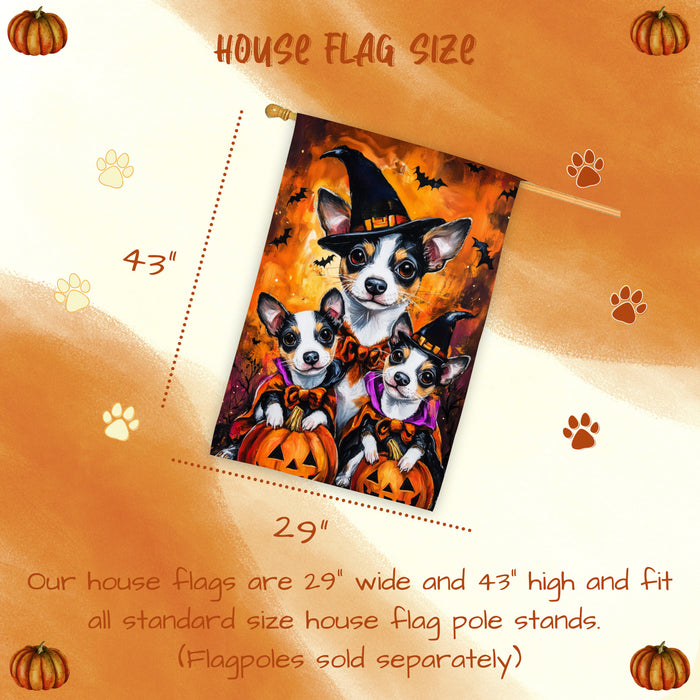 Rat Terrier Dog Halloween House Flag Witch Hat Pumpkin Fall Outdoor Decor for Porch Garden and Lawn Rustic Autumn Farmhouse Holiday Decoration