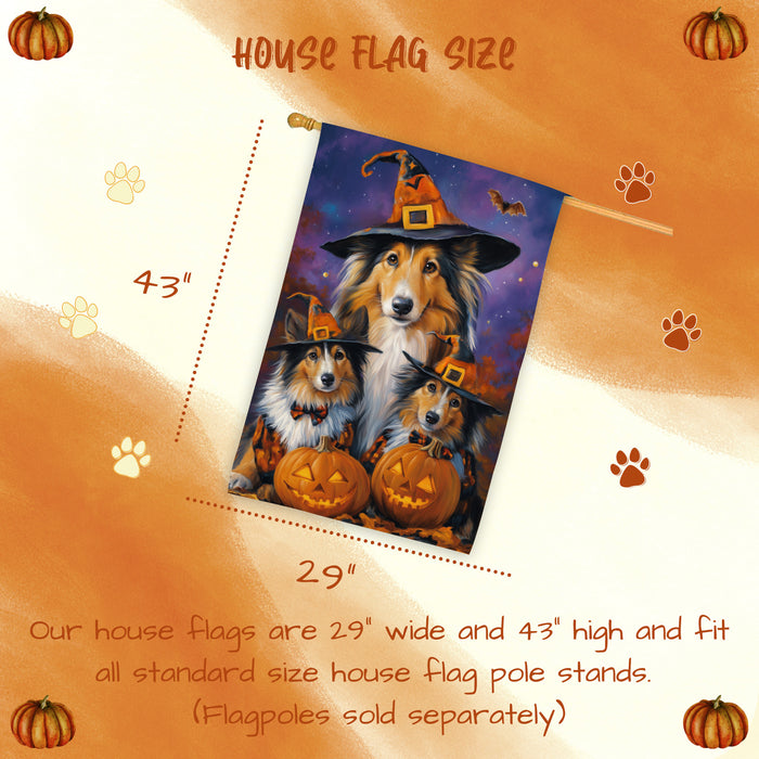 Rough Collie Dog Halloween House Flag Witch Hat Pumpkin Fall Outdoor Decor for Porch Garden and Lawn Rustic Autumn Farmhouse Holiday Decoration