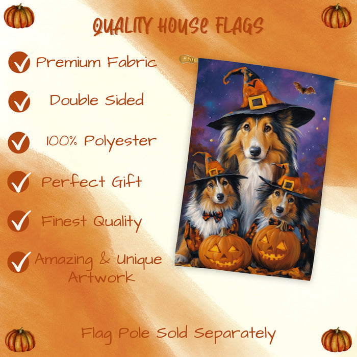 Rough Collie Dog Halloween House Flag Witch Hat Pumpkin Fall Outdoor Decor for Porch Garden and Lawn Rustic Autumn Farmhouse Holiday Decoration
