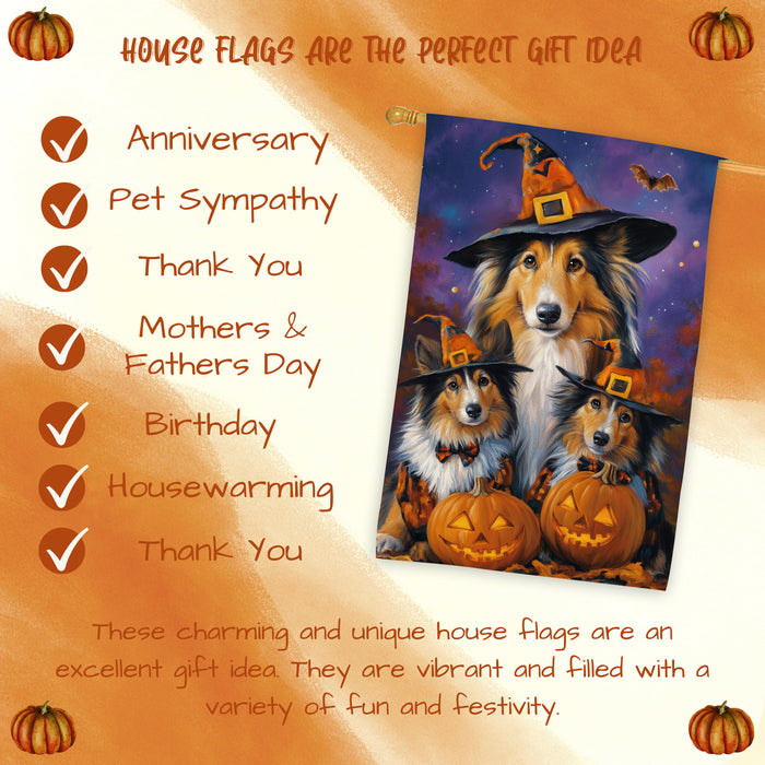 Rough Collie Dog Halloween House Flag Witch Hat Pumpkin Fall Outdoor Decor for Porch Garden and Lawn Rustic Autumn Farmhouse Holiday Decoration