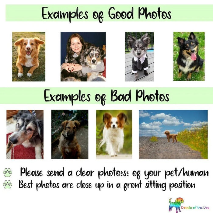 Custom Christmas Card with Pet Portrait, Upload Your Own Photo, Personalized Text and Name, Xmas Greeting Card for Dog Cat Mom, Dad, Grandma