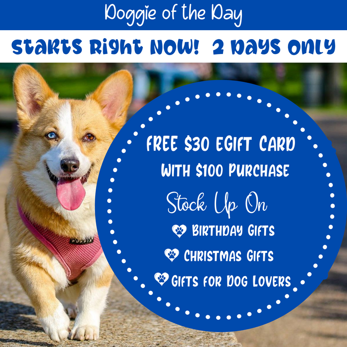 Receive $30 eCard on $100 Purchase