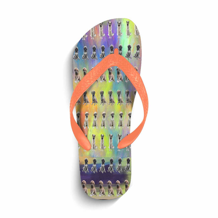 Flip Flops (For both Men and Women) (Model040)