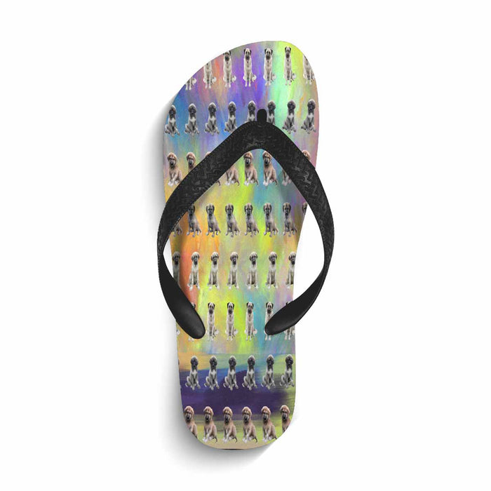 Flip Flops (For both Men and Women) (Model040)