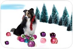 Sheltie Tempered Cutting Board Christmas