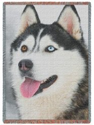 Siberian Husky Woven Throw Blanket 54 x 38