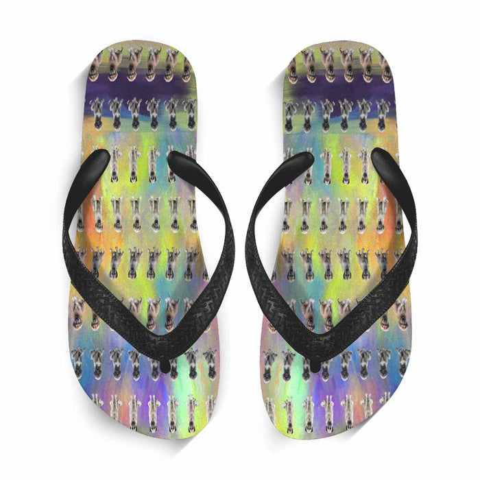 Flip Flops (For both Men and Women) (Model040)