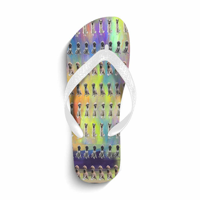 Flip Flops (For both Men and Women) (Model040)