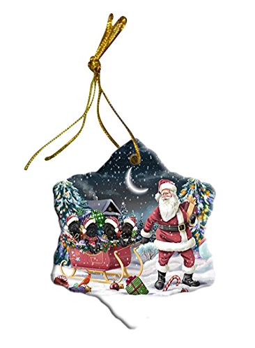 Santa Sled Dogs Affenpinscher Christmas Star Ornament POR2738