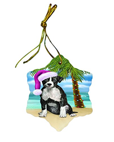 Summertime American Staffordshire Terrier Dog on Beach Christmas Star Ornament POR2965