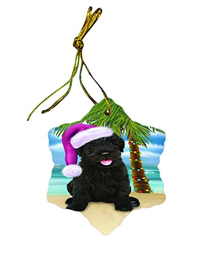 Summertime Black Russian Terrier Dog on Beach Christmas Star Ornament POR2984