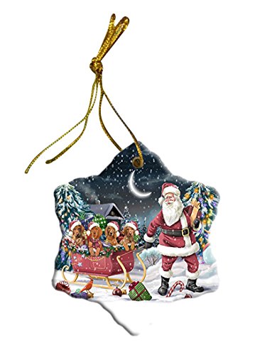 Santa Sled Dogs Vizsla Christmas Star Ornament POR2736