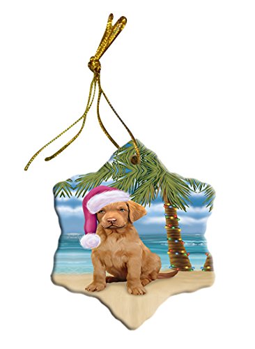 Summertime Chesapeake Bay Retriever Puppy on Beach Christmas Star Ornament POR2763