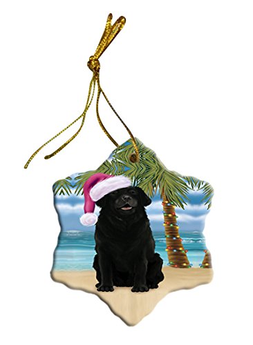 Summertime Labrador Dog on Beach Christmas Star Ornament POR2875