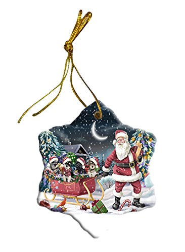 Santa Sled Dogs Schnauzer Christmas Star Ornament POR2735