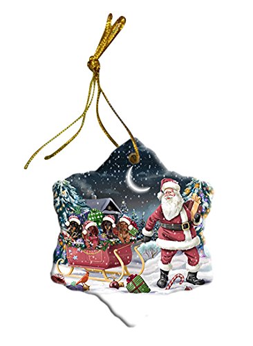 Santa Sled Dogs Dachshund Christmas Star Ornament POR2715
