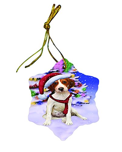 Winter Wonderland Treeing Walker Coonhound Dog Christmas Star Porcelain Ornament POR3002