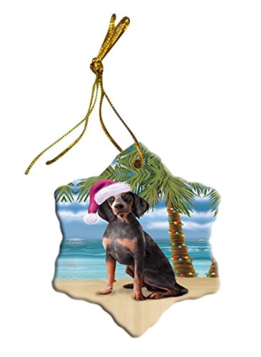 Summertime American English Coonhound Dog on Beach Christmas Star Ornament POR2779