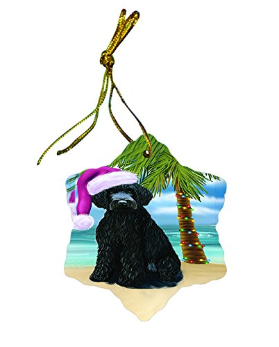 Summertime Barbet Dog on Beach Christmas Star Ornament POR2972