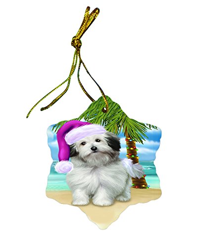Summertime Bolognese Dog on Beach Christmas Star Ornament POR2985