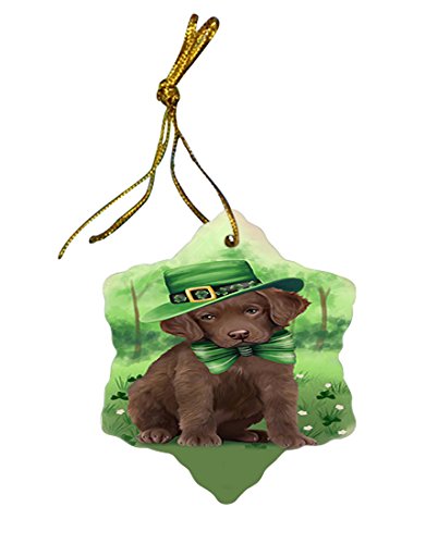 St. Patricks Day Irish Portrait Chesapeake Bay Retriever Dog Star Porcelain Ornament SPOR48763