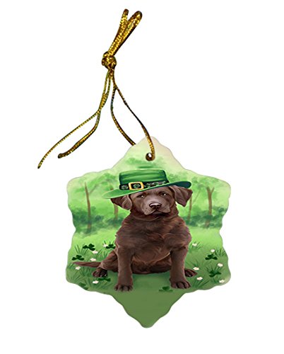 St. Patricks Day Irish Portrait Chesapeake Bay Retriever Dog Star Porcelain Ornament SPOR48761
