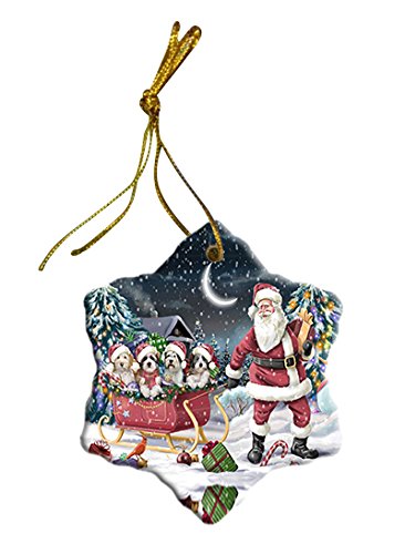 Santa Sled Dogs Tibetan Terrier Christmas Star Ornament POR2726