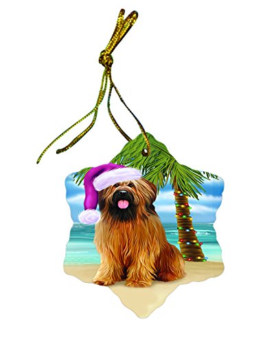 Summertime Briard Dog on Beach Christmas Star Ornament POR2991