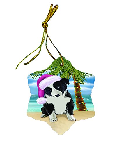 Summertime Border Collie Dog on Beach Christmas Star Ornament POR2989