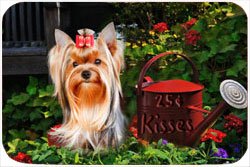 Yorkshire Terrier Tempered Cutting Board 25 Cent Kisses