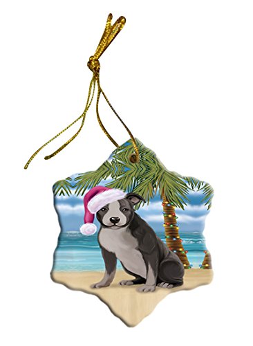 Summertime American Staffordshire Terrier Dog on Beach Christmas Star Ornament POR2783
