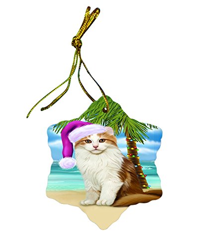 Summertime American Curl Cat on Beach Christmas Star Ornament POR2964