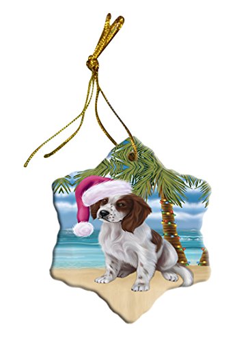 Summertime Irish Setter Puppy on Beach Christmas Star Ornament POR2958