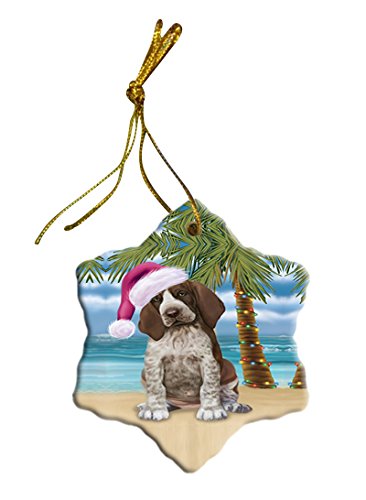 Summertime Bracco Italiano Puppy on Beach Christmas Star Ornament POR2814